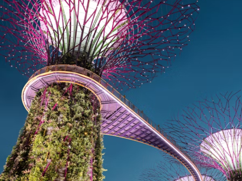 Super Tree Grove at Gardens by the Bay in srilanka